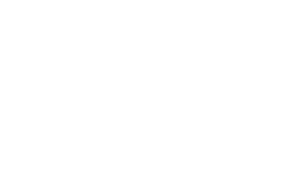 The Singapore Press